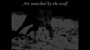 Carach Angren - This Is No Fairytale (текст и перевод)