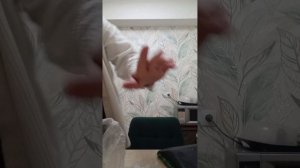 мой новый день