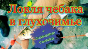 Ловля чебака в глухозимье