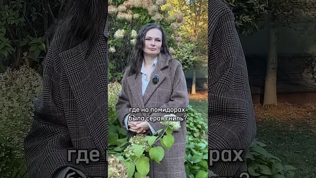 СРЕДСТВА ДЛЯ ТЕПЛИЦЫ от эксперта