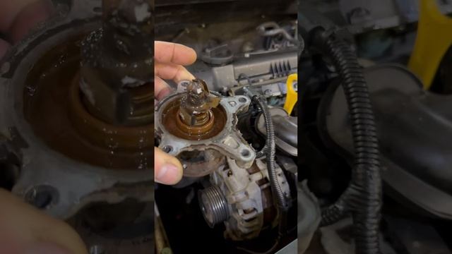 Сгнила крыльчатка на помпе!Солярис 1.6L