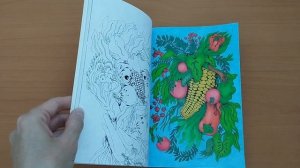 Моя коллекция раскрасок и раскрашенные работы Часть 4. Раскраски для взрослых. Раскраски антистресс