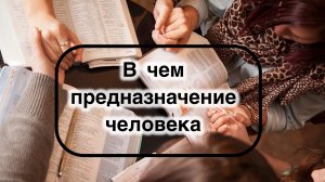 В чем предназначение человека на этой земле?