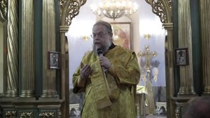 Слово дьякона Дмитрия Майорова.  В неделю  21-ю по Пятидесятнице