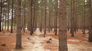 9682891-uhd_3840_2160_25fps