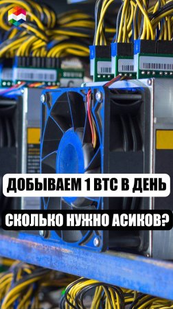 ЭТА ФЕРМА ДОБЫВАЕТ 1 БИТКОИН В ДЕНЬ? | СКОЛЬКО АСИК МАЙНЕРОВ НУЖНО, ЧТОБЫ ДОБЫВАТЬ 1 BTC ЗА ДЕНЬ?