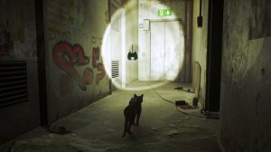 Stary начало игры от  2022-07-20 15-49-28