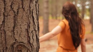 9683164-uhd_3840_2160_25fps