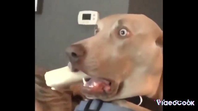 б**
