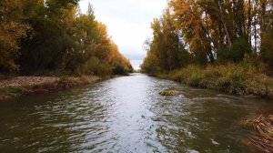 5698888-uhd_3840_2160_30fps