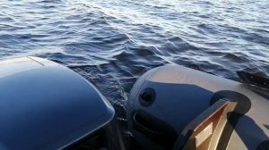 Sea-Pro 9.8 - завершение водномоторного сезона 2024, 10 ноября.