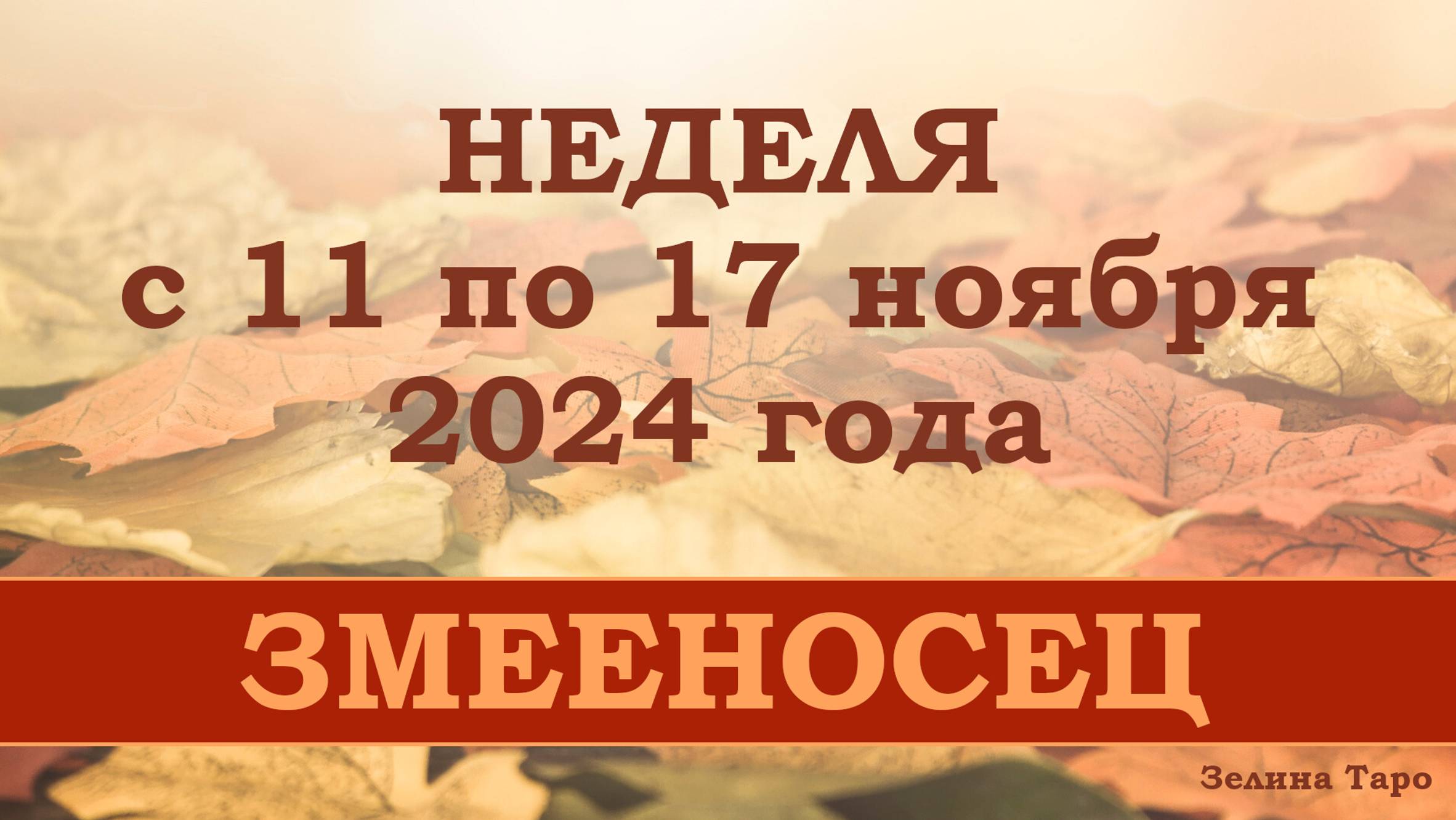 ЗМЕЕНОСЕЦ | Таро прогноз на неделю с 11 по 17 ноября 2024 года