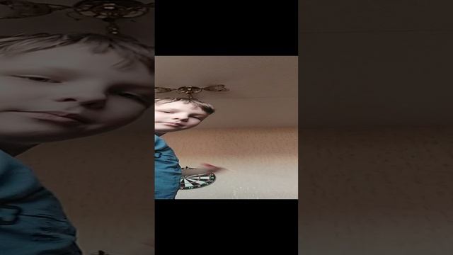 дарц