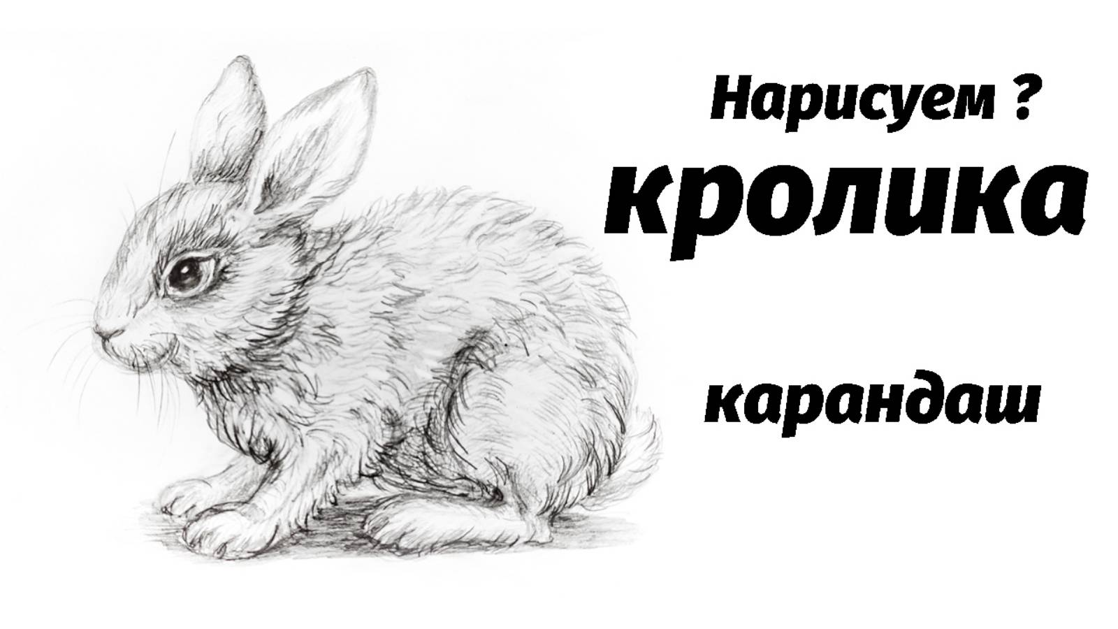 Как нарисовать кроликов