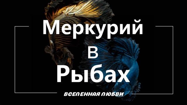 С 07 марта до 11 мая. Время побыть с собой наедине. Время любить.  Транзит Меркурий в Рыбах.