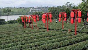 12373443_3840_2160_30fps