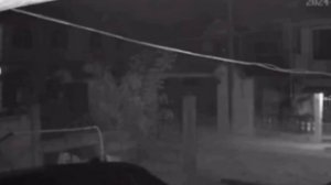 фантом лошади с повозкой, попал в обзор камеры видеонаблюдения