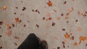 5597147-uhd_3840_2160_24fps