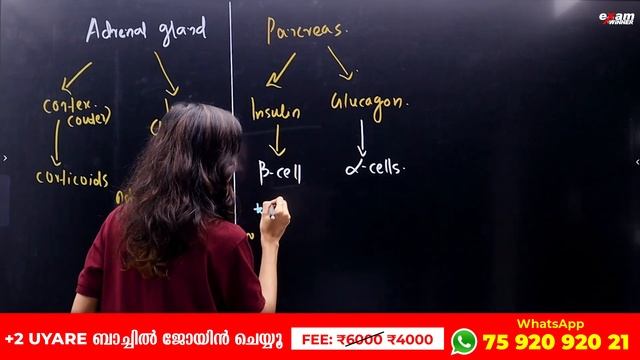 Plus One Biology Public Exam | Chemical Coordination and Integration | Hormones & Their Functions
