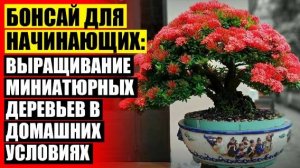 ⚫ РАСТЕНИЯ НЕ ТРЕБУЮЩИЕ МНОГО СВЕТА 🚫 КАК УХАЖИВАТЬ ЗА БОНСАЕМ В ДОМАШНИХ УСЛОВИЯХ В ГОРШКЕ