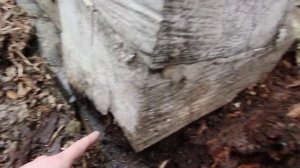 ПРОПАЛО бревно в БАНЕ.