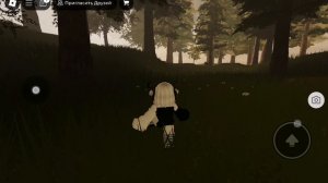 ЭСТЕТИКА В ROBLOX(отдохни и послушай спокойную музыку с красивым фоном🥰)