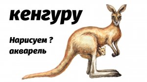 Как нарисовать кенгуру акварелью
