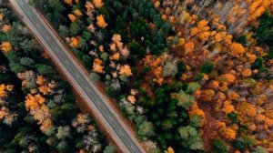 9871874-hd_1920_1080_30fps
