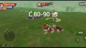 Как быстро прокаокачатся?