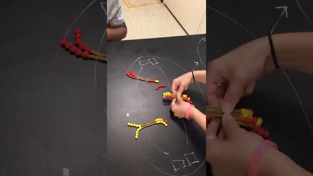 Meiosis Timelapse