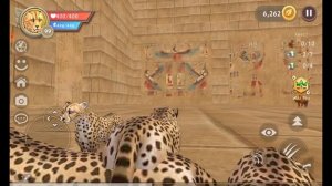 Wild Craft. Египетский секретный босс из пирамиды. Открываю сундуки. #НастяИграя #wildcraft