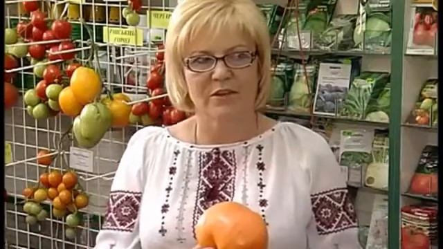 Виставка помідорів 2012 (Магазин Флора) смотреть онлайн