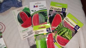 Арбузики🍉