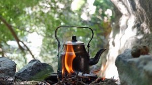 20664604-hd_1920_1080_25fps