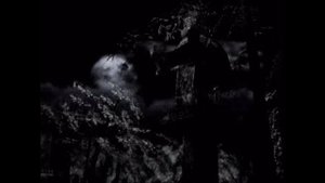 Fatal Frame (1) - Дурдом