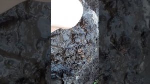 Flip flop stuck in mud 2/ Тапки застряли в грязи 2