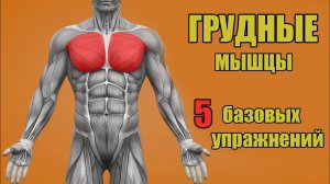 ГРУДНЫЕ МЫШЦЫ. 5 БАЗОВЫХ УПРАЖНЕНИЙ.  + ОШИБКИ УБИВАЮЩИЕ ПРОГРЕСС!