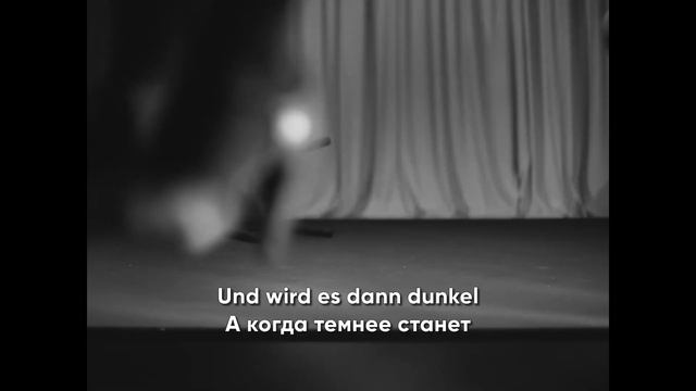 Till Lindemann & David Garrett — Alle Tage ist kein Sonntag (с переводом) смотреть онлайн