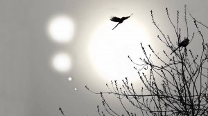 Если бы Земля оказалась на месте других планет - какого размера было бы Солнце