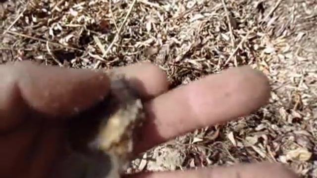 Поиск новых мест и вот результат! Видео наших подписчиков! смотреть онлайн