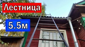 Приставная Двухсекционная ЛЕСТНИЦА  5.5 метров своими руками