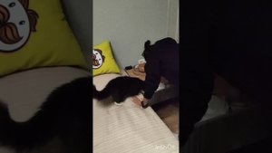 ЖСК 1-й Ленинградский. Квартира в новостройке на Ленинградском Шоссе, после отделки! 10-11-2024
