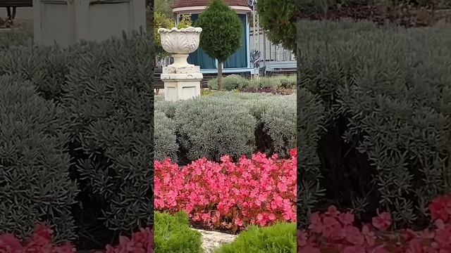 Парк Цветник, это то место, где можно энергетически заряжаться на все !