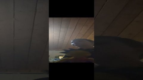 информация