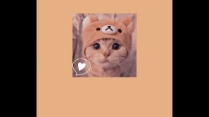(。♡‿♡。)Музыка для учёбы (。♡‿♡。)