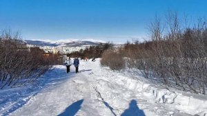 Магадан. Прогулка у подножия Марчеканской сопки с Шарами и по тропе здоровья. Февраль 2020