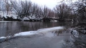 Начало паводка. Река УРШАК. Булгаково. 31.03.24