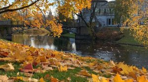 5781758-uhd_3840_2160_30fps