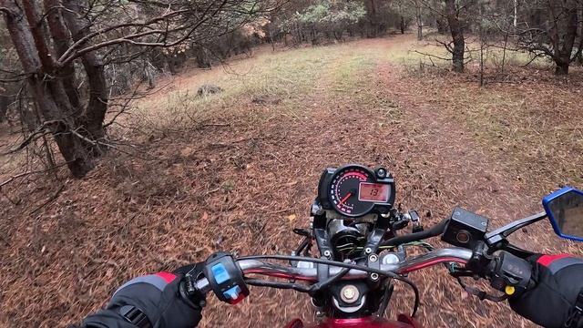 GoPro12 с Angree Girl поиск грибов Jianshe 150 смотреть онлайн