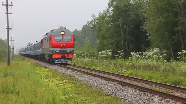 ТЭП70БС-239 (РЖД/Окт, ТЧ-14) с поездом №84 Гомель - СПб (БЧ)